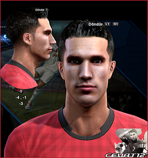 FACE Van Persie Final