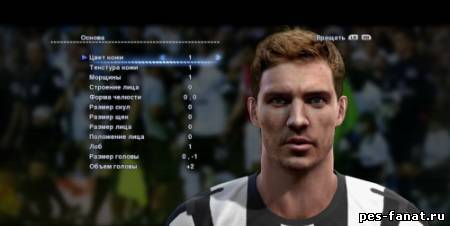 Лицо NICKLAS BENDTNER